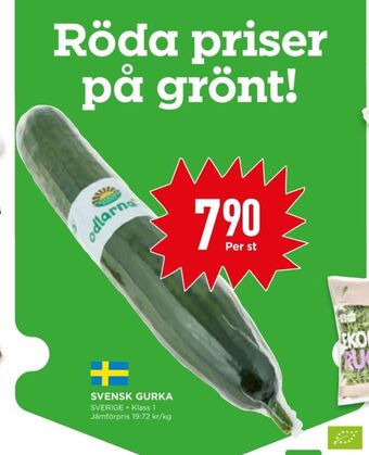 Willys Odlarna.se Gurka erbjuda