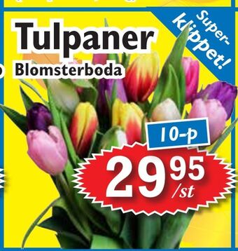 T-jarlen Tulpaner erbjuda