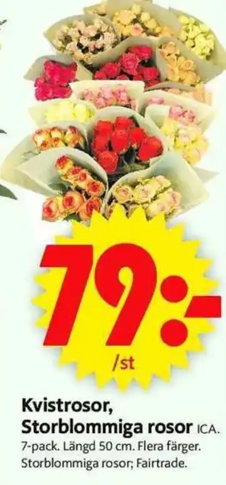 ICA Supermarket ICA Kvistrosor, Storblommiga rosor 7-pack erbjuda