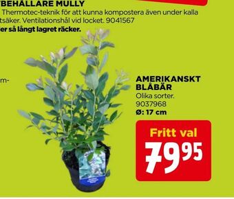 Jem&Fix Amerikanskt blåbär erbjuda