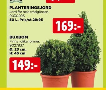 Jem&Fix Buxbom erbjuda