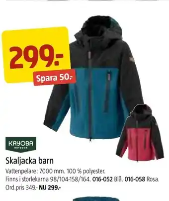 Jula Skaljacka barn erbjuda