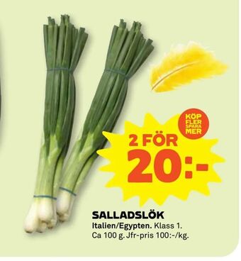 Salladslök