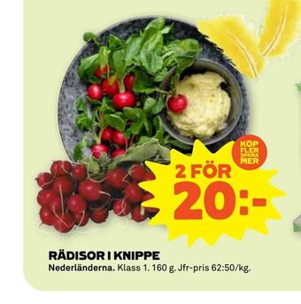 Stora Coop Rädisor i knippe erbjuda