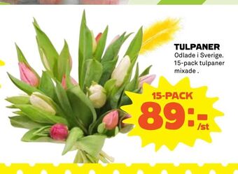 Coop Tulpaner erbjuda