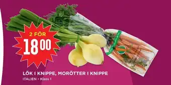 Lök i knippe, morötter i knippe