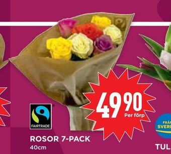 Willys Hemma Rosor 7-pack erbjuda