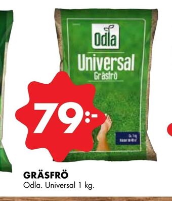 ÖoB Gräsfrö erbjuda