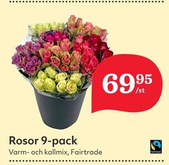 Hemköp Rosor 9-pack erbjuda