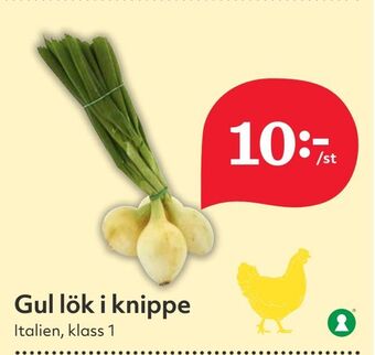 Hemköp Gul lök i knippe erbjuda