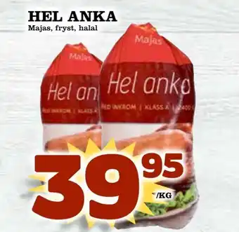Hel anka