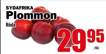 Matdax Plommon erbjuda