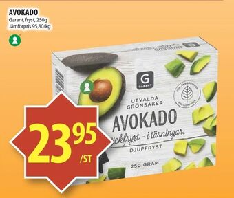 Avokado
