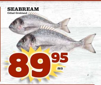 Matvärlden Tensta Seabream erbjuda