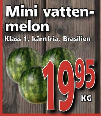 Supergrossen Mini vattenmelon erbjuda