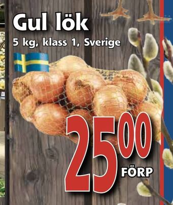 Supergrossen Gul lök erbjuda