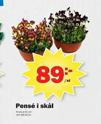 Pensé i skål