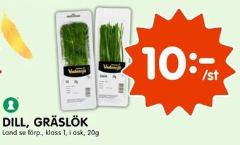 Tempo Dill, gräslök erbjuda