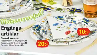 Engångs-artiklar papperstallrik 25cm 12-pack