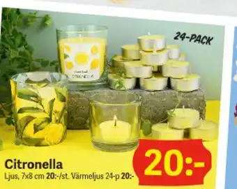 DollarStore Citronella Ljus erbjuda