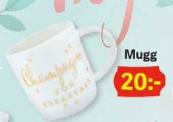 DollarStore Mugg erbjuda