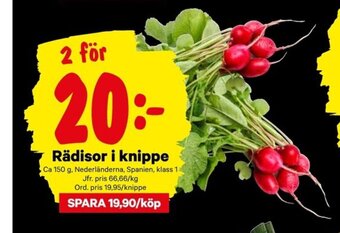 City Gross Rädisor i knippe erbjuda
