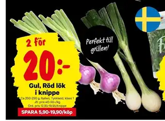 City Gross Gul, Röd lök i knippe erbjuda