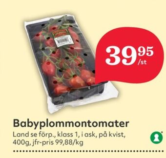 Hemköp Garant plommontomater erbjuda