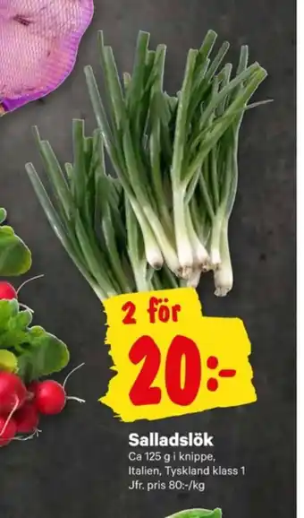 Daily greens salladslök