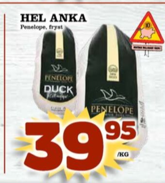 Matdax Penelope anka erbjuda