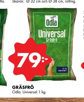 Odla gräsfrö
