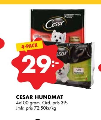 ÖoB Cesar hundmat erbjuda