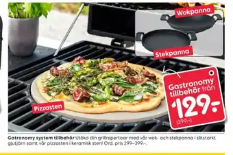 Gastronomy system pizzasten