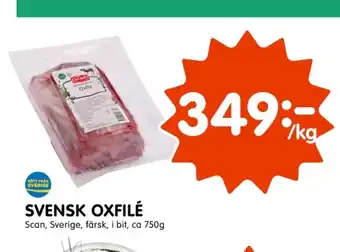 Tempo Scan oxfilé erbjuda