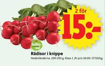 ICA Supermarket Nederländerna Rädisor i knippe 200-250 g erbjuda