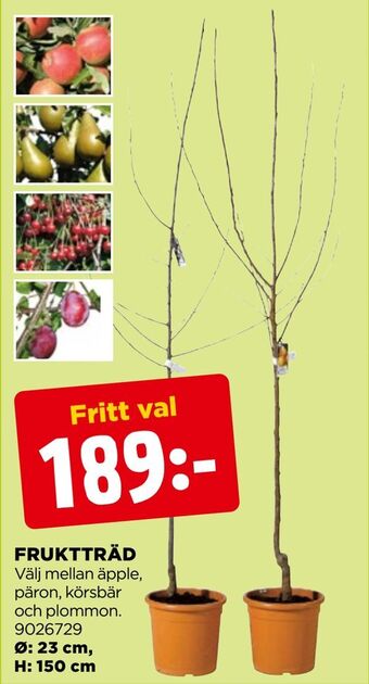 Jem&Fix Fruktträd erbjuda