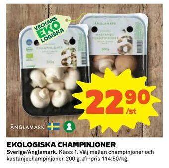 Coop Extra Ekologiska champinjoner erbjuda