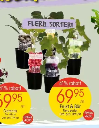 EKO Frukt & Bär erbjuda