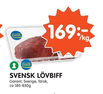 Tempo Svensk lövbiff erbjuda