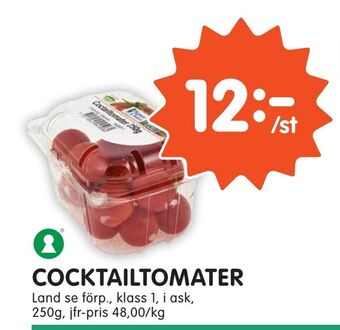 Tempo Cocktailtomater erbjuda