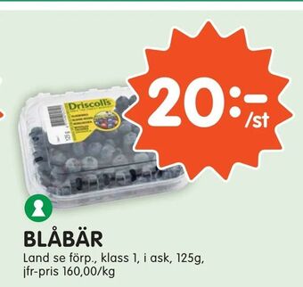 Tempo Blåbär erbjuda