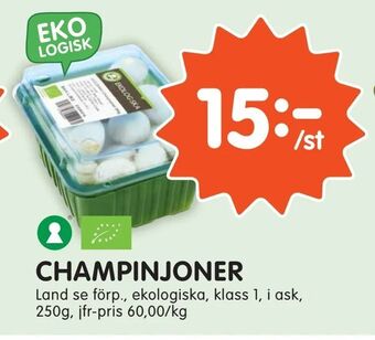 Tempo Champinjoner erbjuda