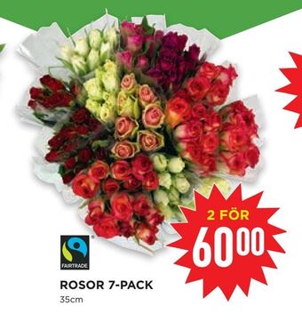 Willys Rosor 7-pack erbjuda