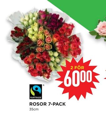 Willys Hemma Rosor 7-pack erbjuda