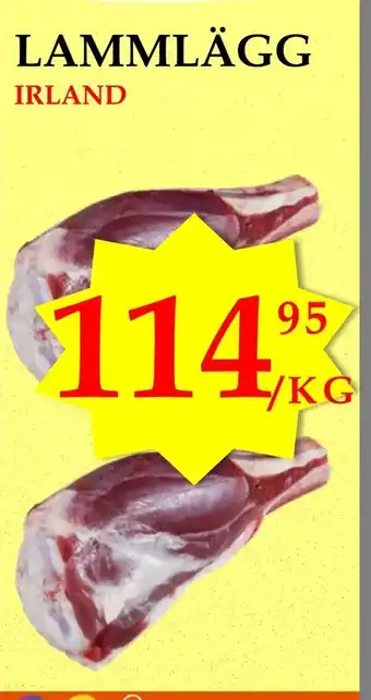 Lammlägg