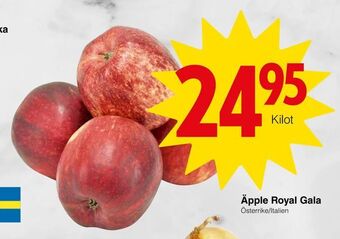 Matöppet Äpple Royal Gala erbjuda