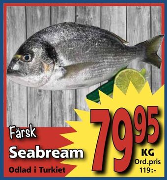 Supergrossen Seabream erbjuda