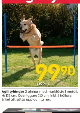 Rusta Ashby garden agilityprodukter erbjuda