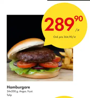 Snabbgross Hamburgare 24x200g erbjuda