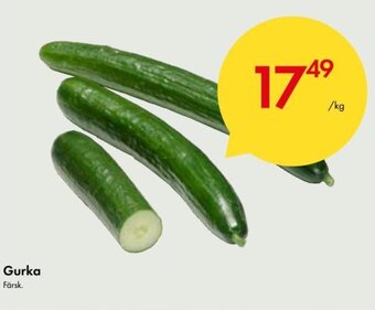 Snabbgross Färsk Gurka erbjuda